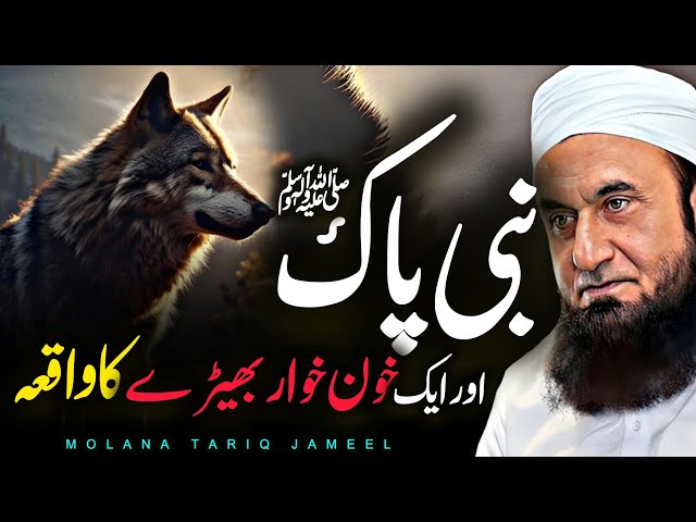 Nabi (SAW) ki Mohabbat: Aik Bherdia Ka Waqia 2024 - Maulana Tariq Jameel