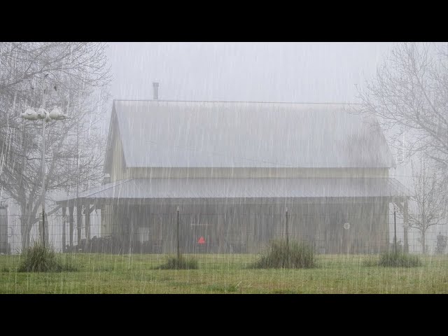 Try Listening for 3 Minutes! Fall Asleep Instantly with Sounds of Rain and Thunderstorms on the Roof