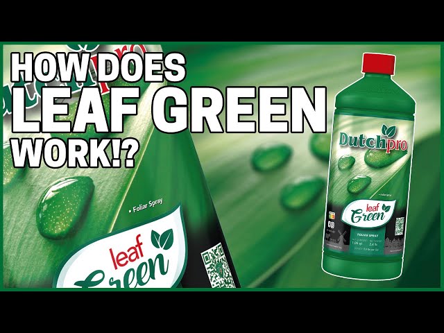 Leaf Green : How it works