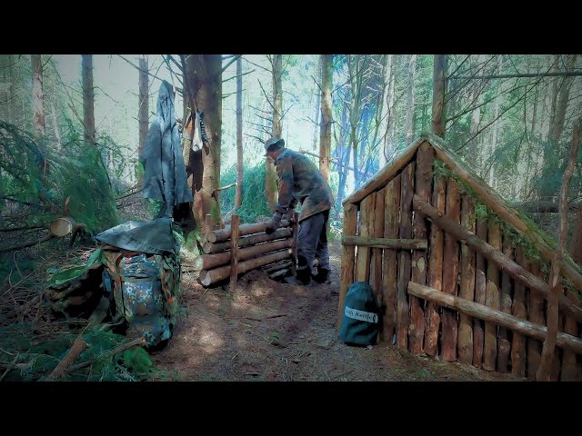 Secret log shelter in a conifer forest | Hand Tools Only | Full build