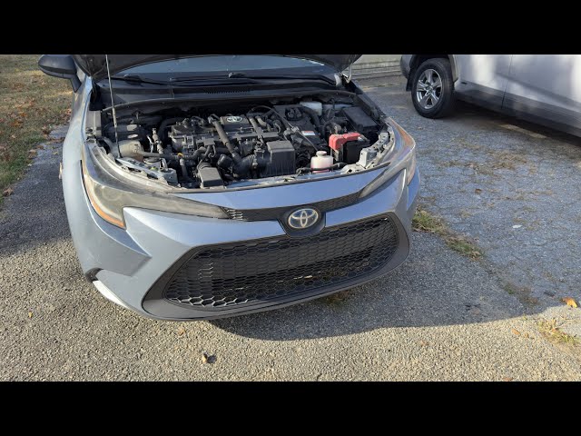 481,000 Miles Later, I Discovered the TRUTH About Corolla Hybrid