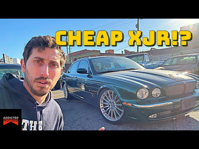 Cheap X350 XJR Jaguar - We Rolled The Dice Because Its Hard To Say NO | Should You?