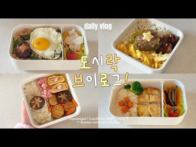 🍱 Every morning, a cute lunch box made by a Korean college student 🇰🇷