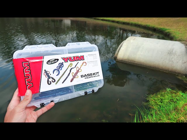 $10 WALMART BUDGET Fishing Kit (Summer Bass Fishing)