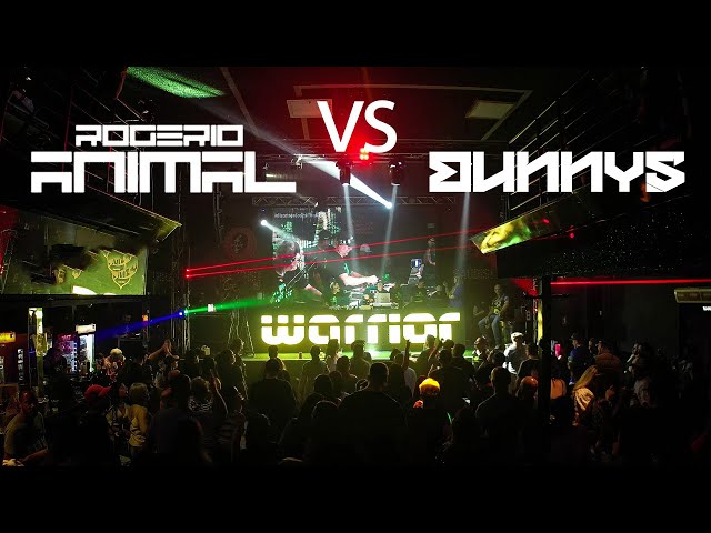 Set Animal Vs Bunnys na FESTA DA WARRIOR nº 09