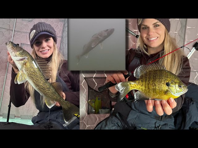 Underwater Ice Fishing Footage