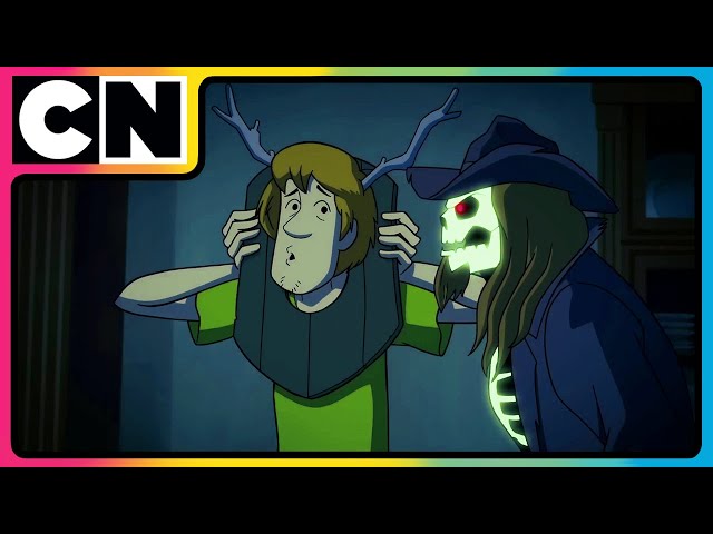 Scooby Surfs to the Rescue! 🐶🌊| Scooby Doo Cartoon 🐶| Compilation | Cartoon for Kids | @cnindia