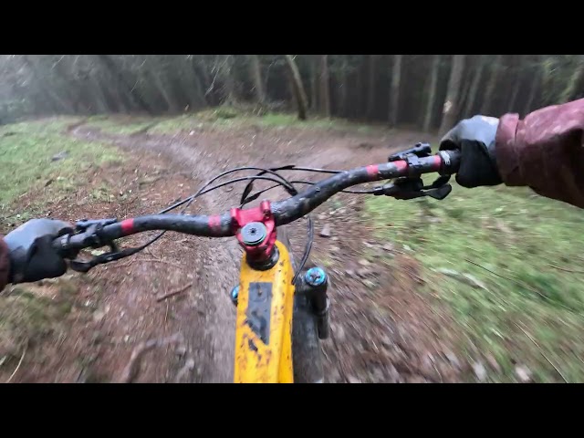 Innerleithen MTB Trails 9/2/25