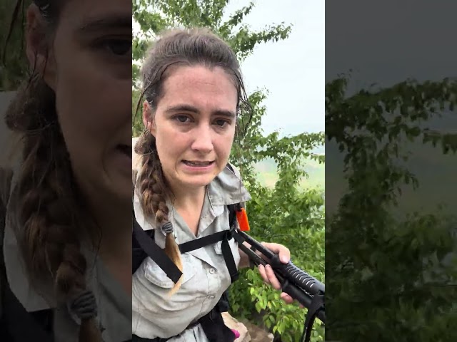 Day 104 of Hiking the Appalachian Trail!  #thruhiking #hiking #dailyshorts #appalachiantrail