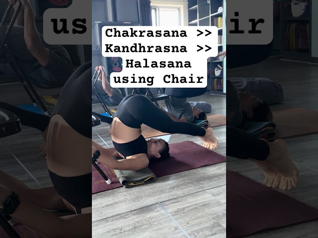 Chakrasana to Kandhrasana to Halasana using Iyengar Chair | Thyroid Gland  Heart Rate  @yogatute