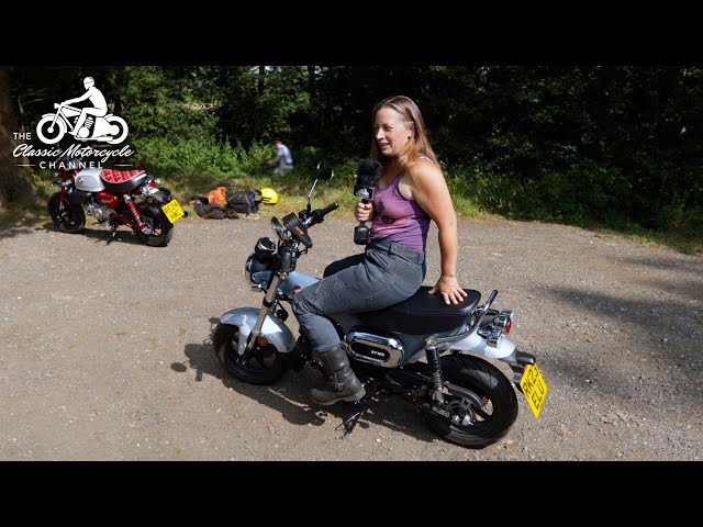 Honda Dax ST125 - pros & cons review - also featuring Honda Monkey 125