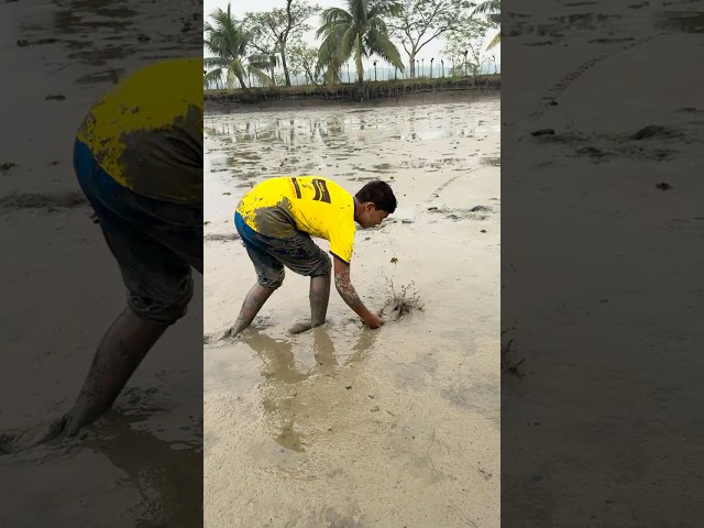 Amazing village fish catching #shorts #fishing #telapia #villagelife