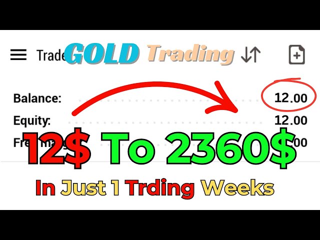 We Made $12 into $2360 in Forex Nobody Can Do This Without Watch | Secrets to Successful Trading