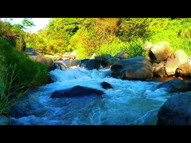 Natural River Sounds Nature Sounds White Noise Water Sounds For Deep Sleep, Stress Relief, Study