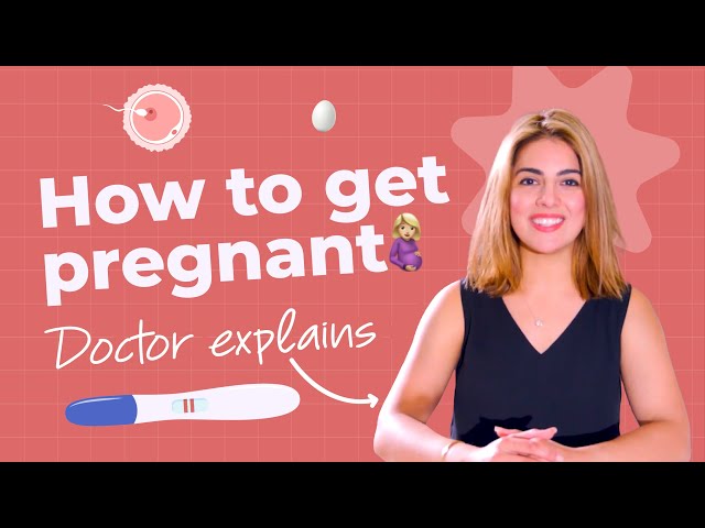 Doctor Explains: How To Get Pregnant