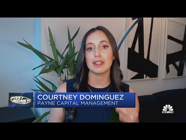 Bitcoin Speculative and Volatile: Courtney Dominguez discusses on CNBC