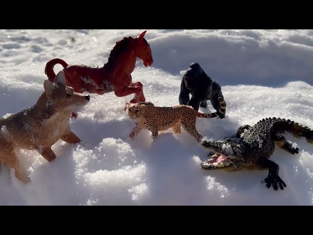 Snowy Backyard Zoo Animal Toy Hunt ❄️🛷 Fun Animal Names Adventure for Kids