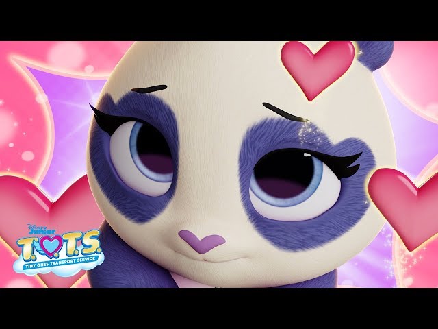 Precious the Panda Profile 🐼 | T.O.T.S.| Disney Junior