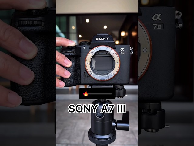 sony a7 iii vs sony a7 ii Review 2024 #sony #sonycamera #shorts #a7iii #a7ii #short