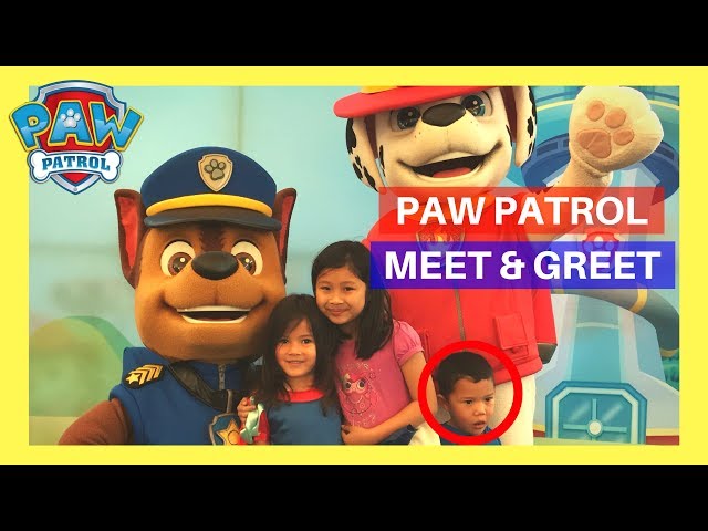 School Holiday Program - Paw Patrol Concert Meet and Greet - Family PlayLife