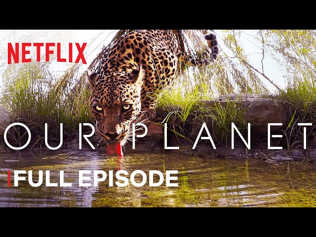 Our Planet | From Deserts to Grasslands | FULL EPISODE | Netflix