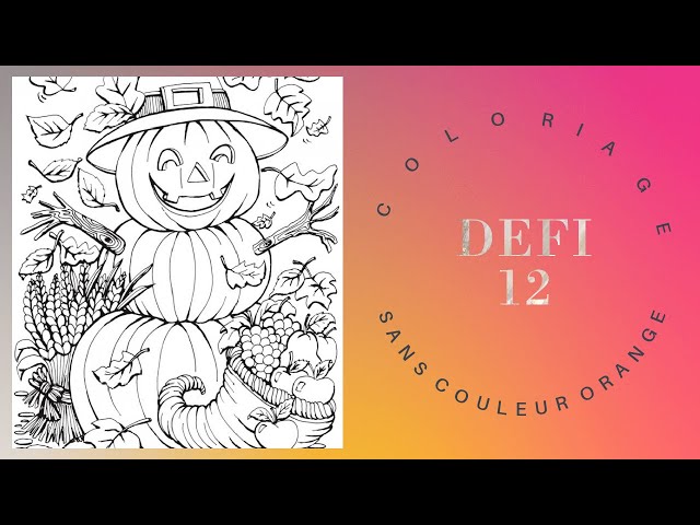 COLORIAGE DEFI 12 NE PAS METTRE DE COULEUR ORANGE