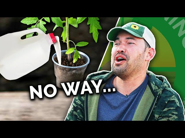 Gardeners React to YOUR Ridiculous Gardening Fails 💀