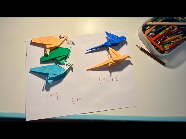 How to fold origami bird and parrot 🐦 🦜 Chicky channel