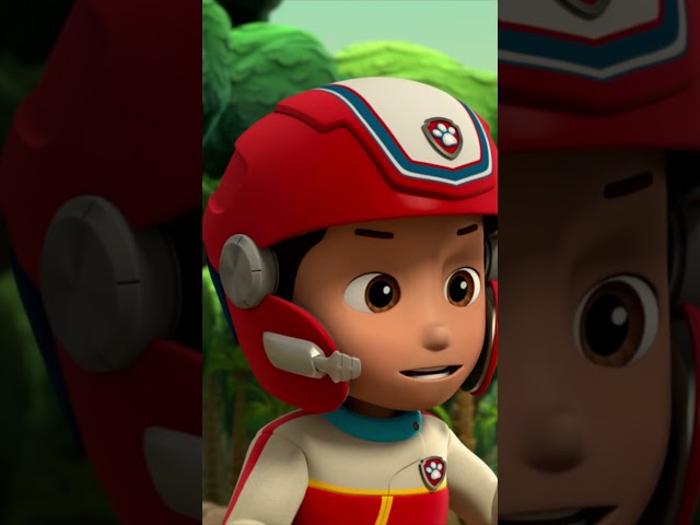 Mandy het aapje is gered door kauwgom! - #pawpatrol #pawpatrolnederlands