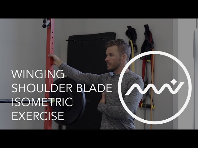 Winging Shoulder Stability Exercise / Serratus Anterior