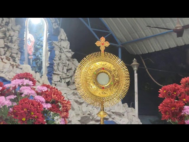 🛑LIVE || First Sunday Mother Mary Procession || St Agnes Church Guntur || Fr. Pudota Chinnaiah