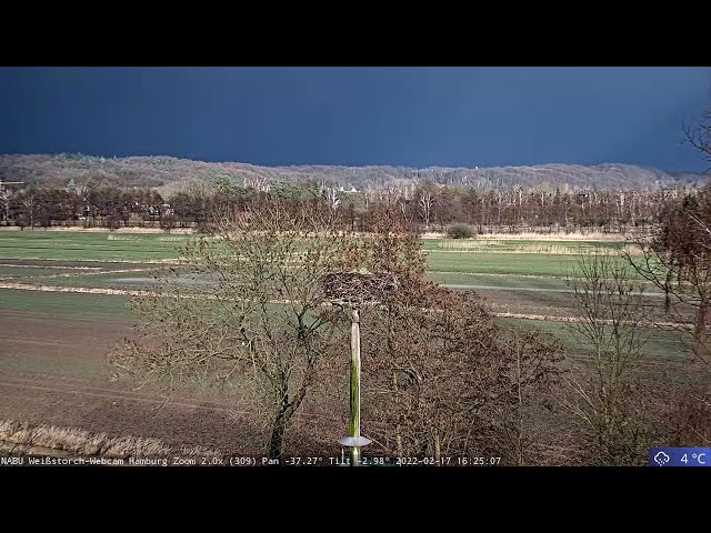 🔴 NABU Weißstorch-Webcam Hamburg