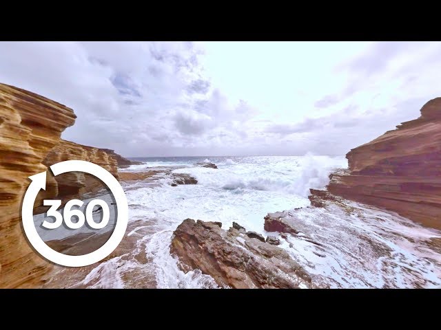 🌴Take A Tropical Break And Explore The Hawaiian Islands in Virtual Reality! (360 Video)