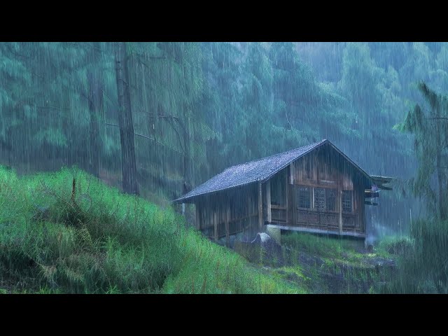 Rain Sounds for Sleeping - Sound of Heavy Rainstorm & Thunder in the Misty Forest At Night