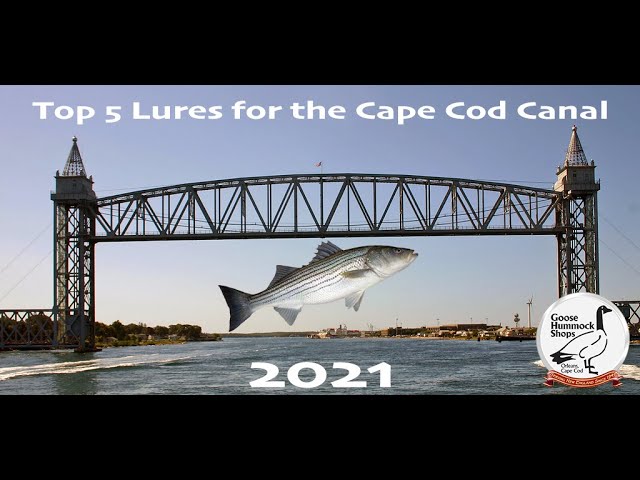 TOP 5 Lures for the Cape Cod Canal 2021