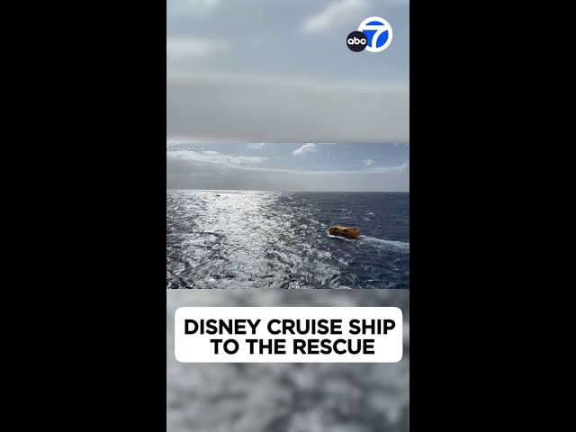 Disney Cruise ship to the rescue!