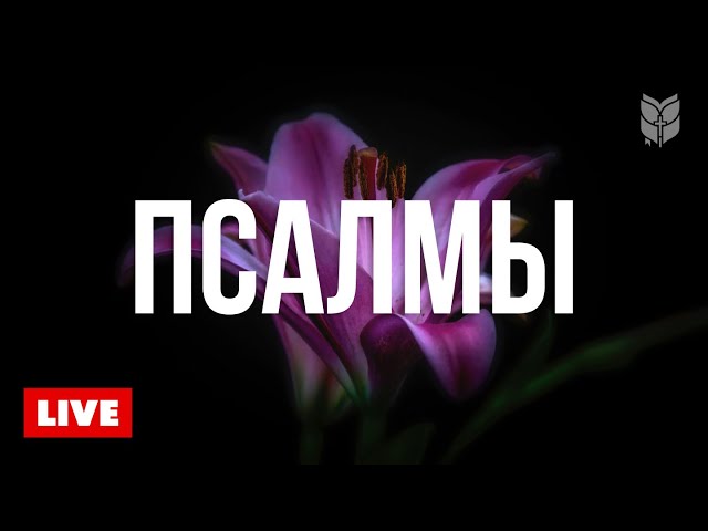 🔴 Успокоение для души | Псалмы в современном переводе 24/7