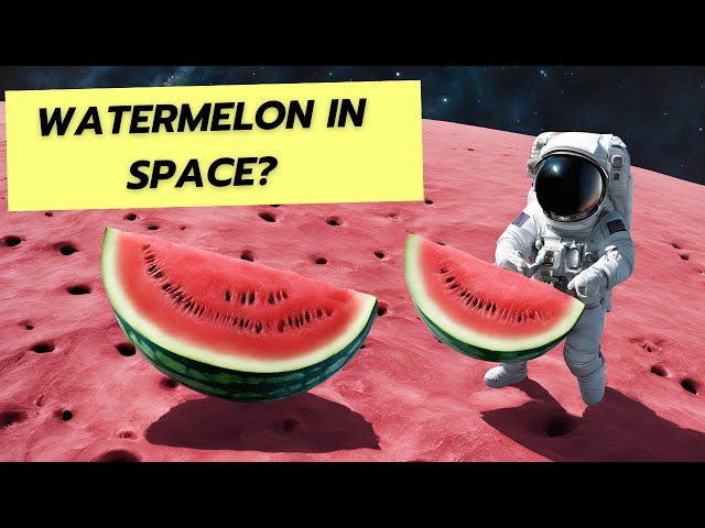 Watermelon in Space? Discover the Asteroids Dimorphos and Selam.