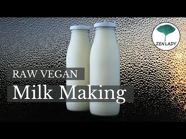 Raw Vegan  Recipes About milk making Easy steps to begin Zenlady