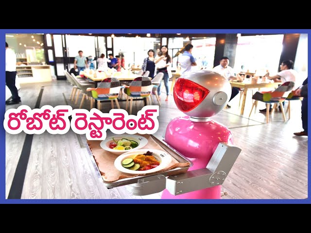 Guntur robot Restaurant || #foodvlog || @youtubecreators||