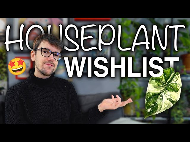 Top 5 DREAM Plants for 2025 🥵🌿 | Houseplant Wishlist