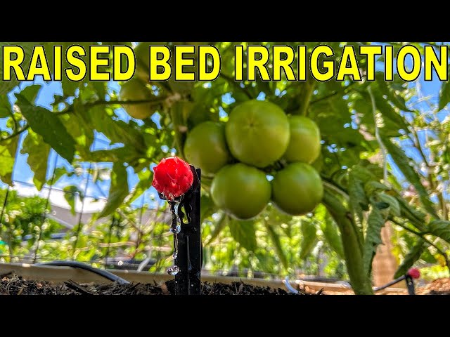 The BEST DIY Raised Bed Garden DRIP IRRIGATION Install Guide