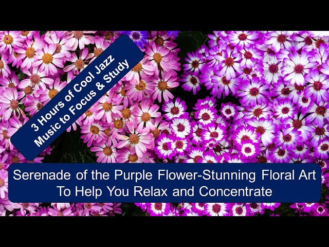 Serenade of Purple Flowers: 3 Hours of Cool Jazz Music and Purple Floral Art Screensavers