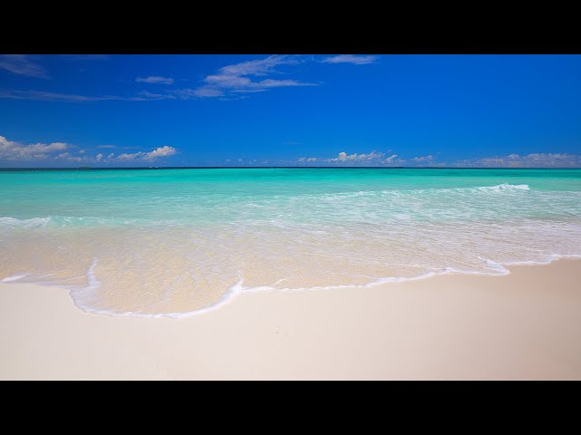 Tropical Paradise Found: Maldives Beach and Turquoise Waves of the Ocean