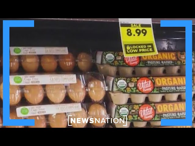 What is causing the price of eggs to rise? | Morning in America