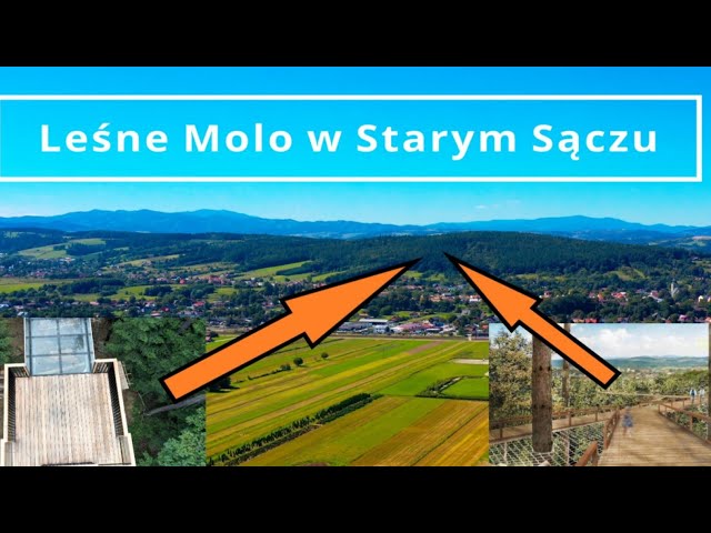 Leśne Molo w Starym Sączu - 09.09.2021.www.starysacz.info