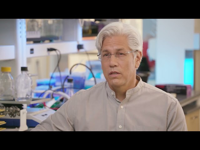 Duke Science and Technology: Fighting Disease With Microbes