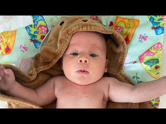 6 Weeks Old Vlog || ft. Baby Brooks