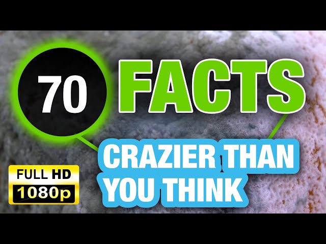 70 Mind Blowing Facts That Will Leave You in Awe!