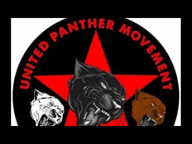 A Discussion on Pantherism with Chairman Jake Hansbury of the White Panther Party